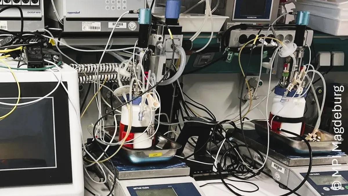 Bioreactors with pDS inserts at the Max Planck Institute Magdeburg